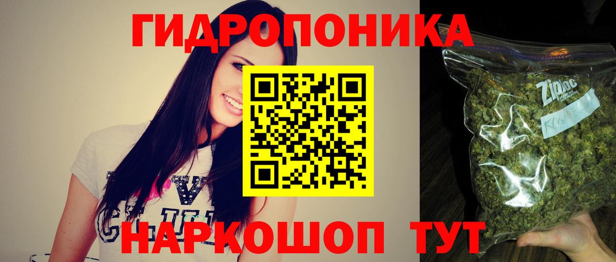 Пугачёв  Бошки Шишки индика  Бошки марихуана Amnesia  Вход с VPN 